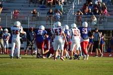 Enlarge photo 462