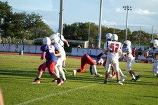 Enlarge photo 463