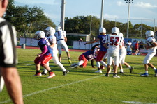 Enlarge photo 466