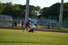 Enlarge photo 470