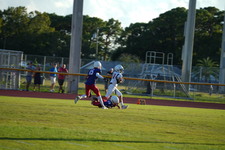 Enlarge photo 469