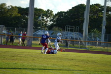 Enlarge photo 471