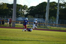 Enlarge photo 472