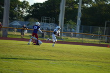 Enlarge photo 474