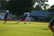 Enlarge photo 475