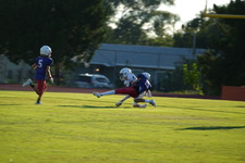 Enlarge photo 478