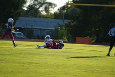Enlarge photo 480