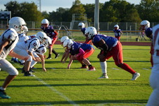 Enlarge photo 484