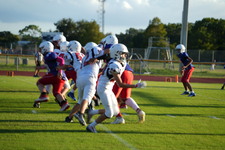 Enlarge photo 490