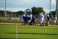 Enlarge photo 497