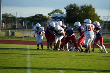 Enlarge photo 499