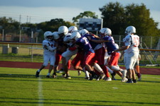 Enlarge photo 501