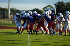 Enlarge photo 507