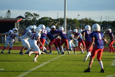 Enlarge photo 510