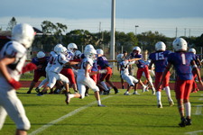 Enlarge photo 511