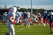 Enlarge photo 513