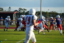 Enlarge photo 515