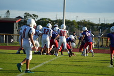 Enlarge photo 519