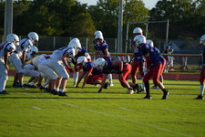 Enlarge photo 528