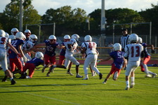 Enlarge photo 529