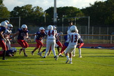 Enlarge photo 531