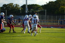 Enlarge photo 534