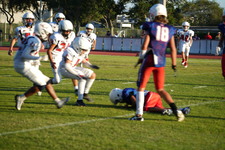 Enlarge photo 562