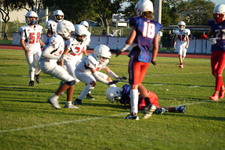 Enlarge photo 563