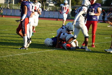 Enlarge photo 565