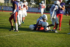 Enlarge photo 566