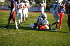 Enlarge photo 567