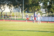 Enlarge photo 585