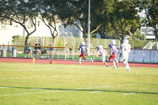 Enlarge photo 587