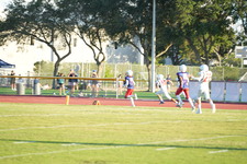 Enlarge photo 588