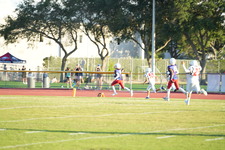 Enlarge photo 590
