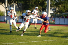 Enlarge photo 623