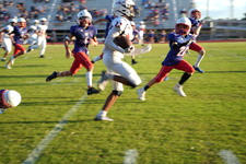 Enlarge photo 634