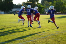 Enlarge photo 646