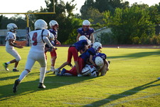 Enlarge photo 658