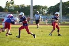 Enlarge photo 726
