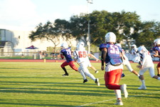 Enlarge photo 762