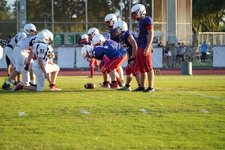 Enlarge photo 785