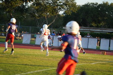 Enlarge photo 995