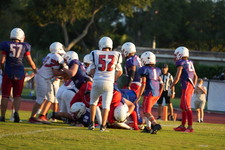 Enlarge photo 1023