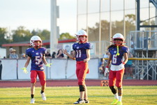 Enlarge photo 1038