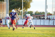 Enlarge photo 1077