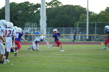 Enlarge photo 1097