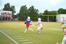 Enlarge photo 1229