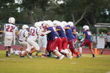 Enlarge photo 1297
