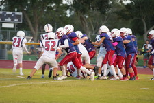 Enlarge photo 1303